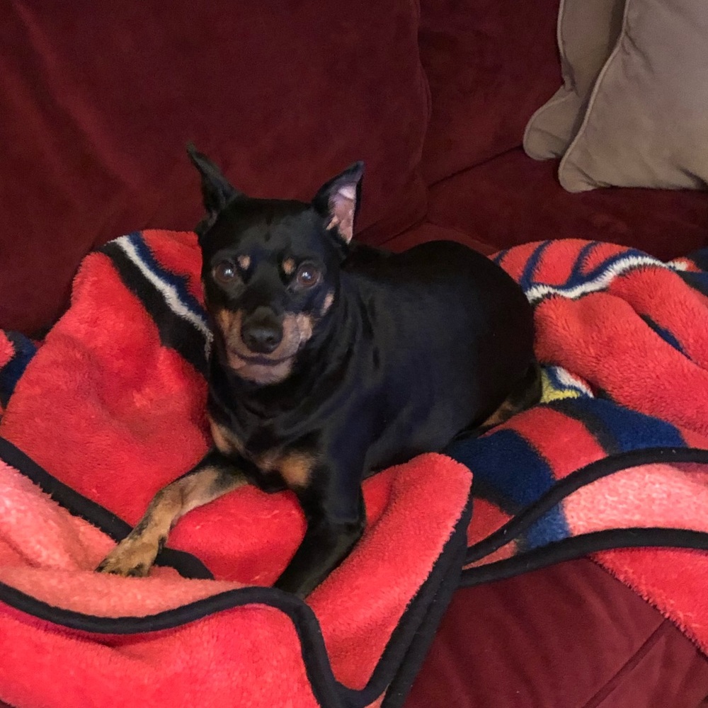 Meet your Posher, Maria